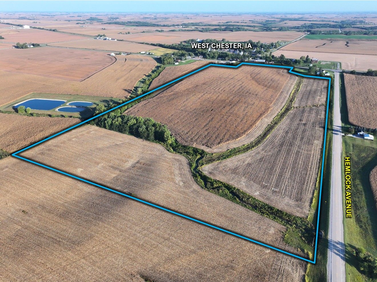 Listing Photo: Washington County, IA Land Auction 3